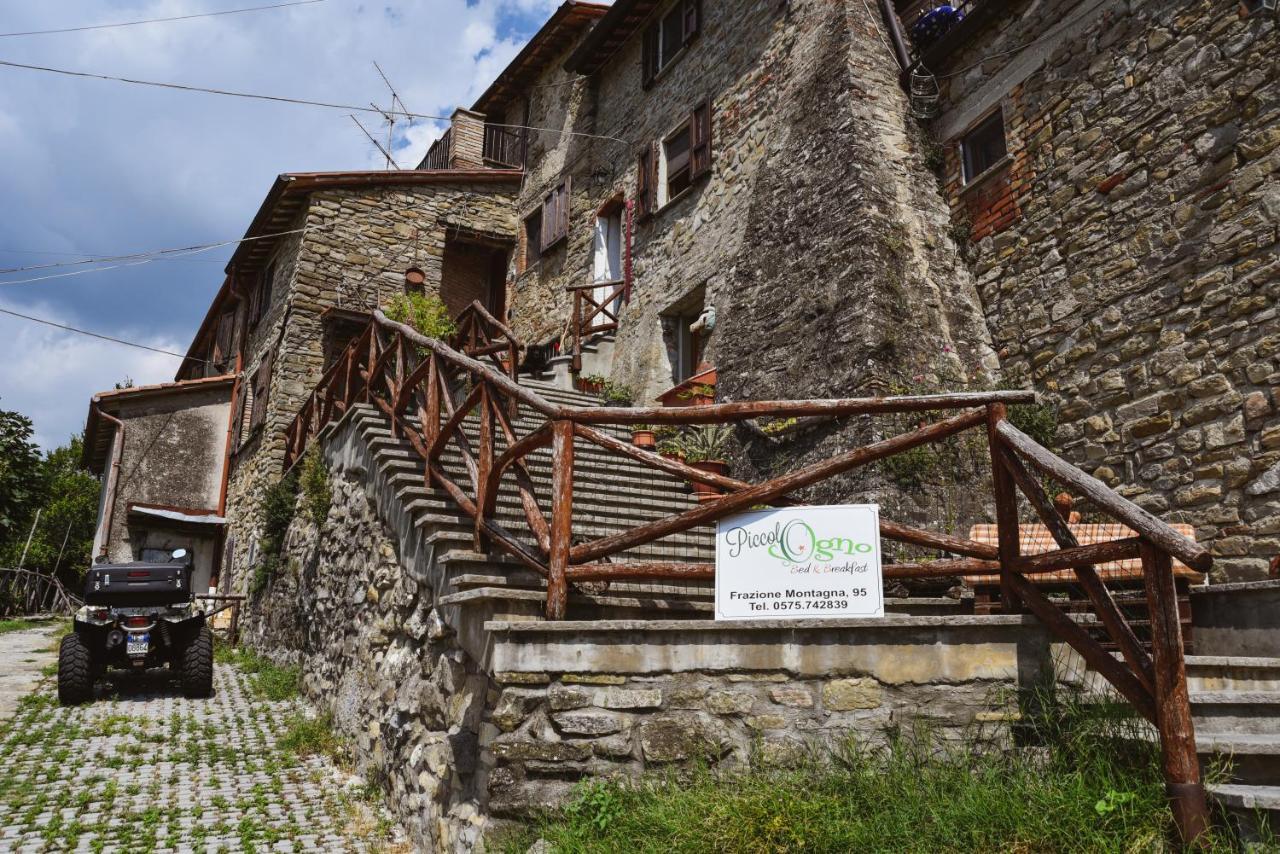 Piccolo Sogno B&B Sansepolcro Eksteriør billede