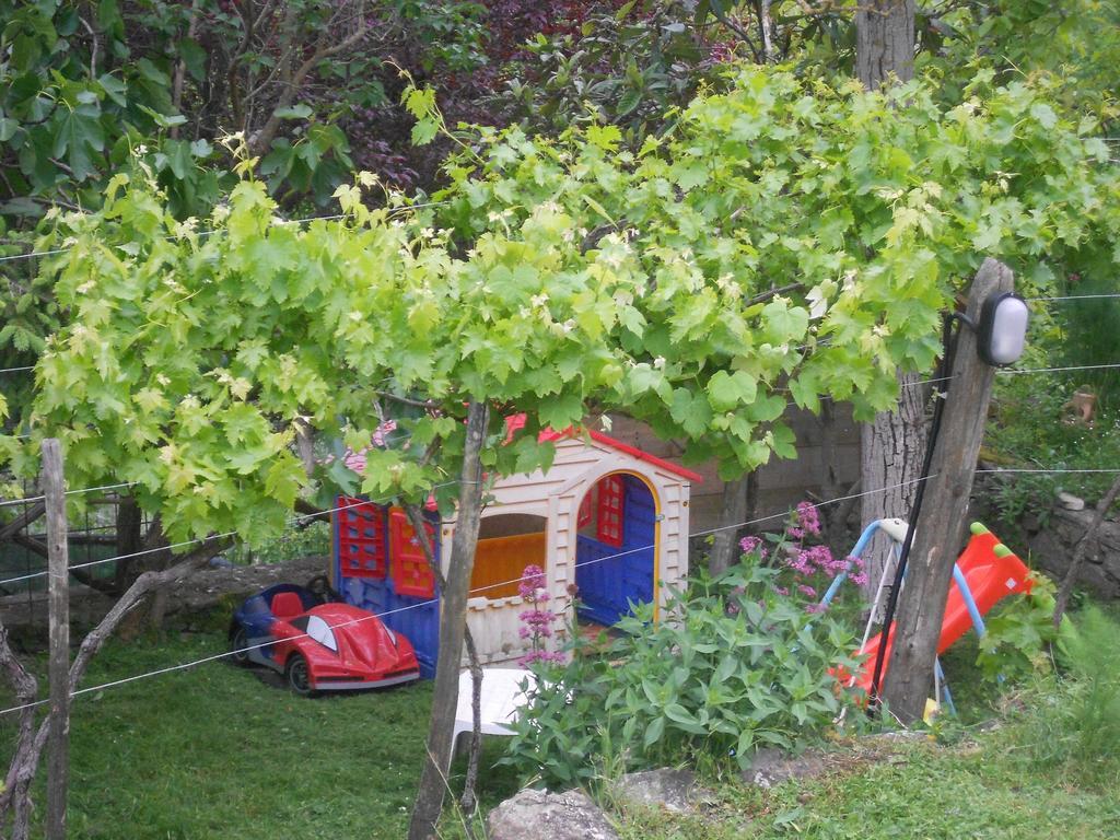 Piccolo Sogno B&B Sansepolcro Eksteriør billede